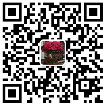 添加微信